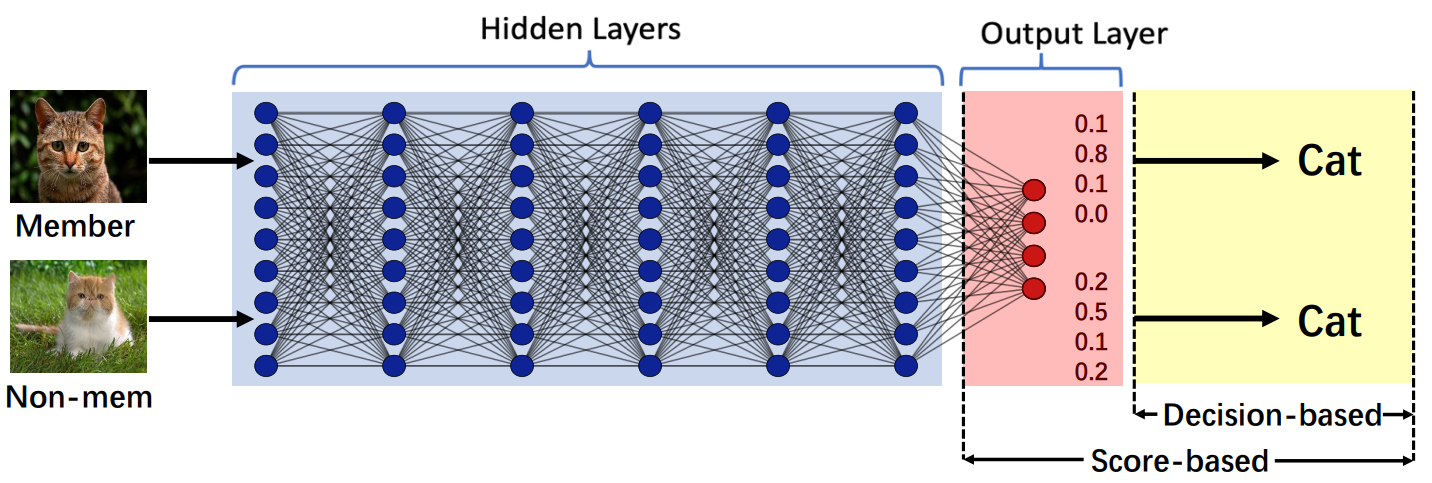 Membership Leakage in Label-Only Exposures